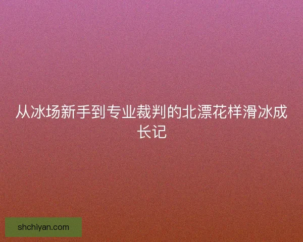 从冰场新手到专业裁判的北漂花样滑冰成长记 从冰场新手到专业裁判的北漂花样滑冰成长记