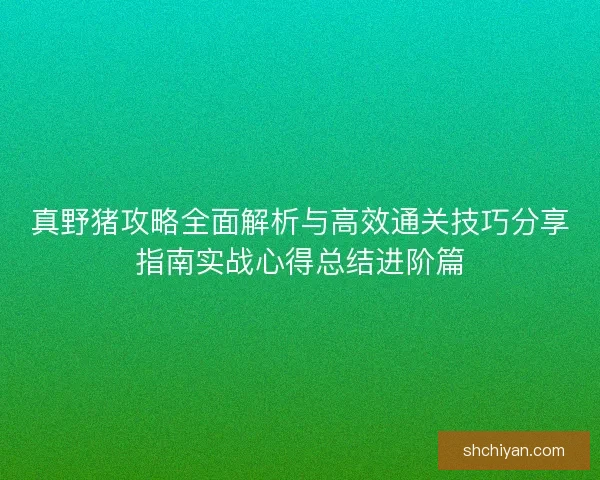 真野猪攻略全面解析与高效通关技巧分享指南实战心得总结进阶篇