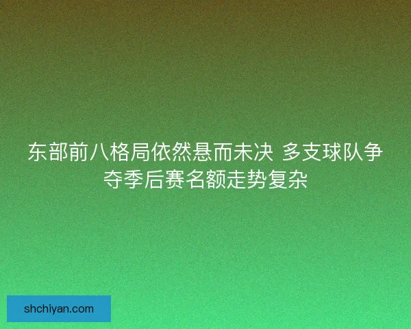 东部前八格局依然悬而未决 多支球队争夺季后赛名额走势复杂