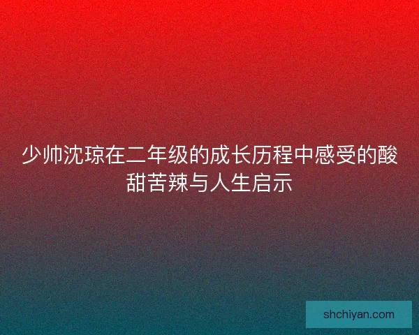 少帅沈琼在二年级的成长历程中感受的酸甜苦辣与人生启示 少帅沈琼在二年级的成长历程中感受的酸甜苦辣与人生启示